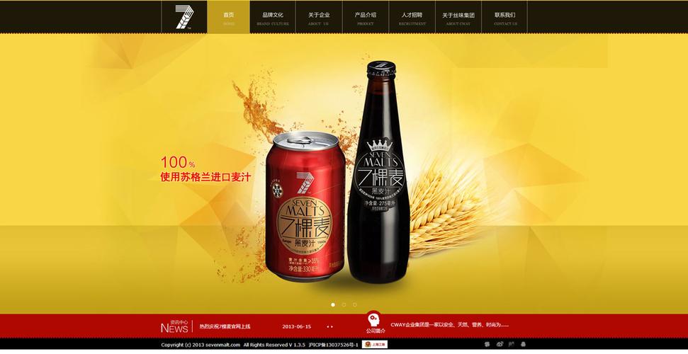 上海啤酒公司高端官网 B2C 商务网站建设与 Google、亚马逊全球推广策略