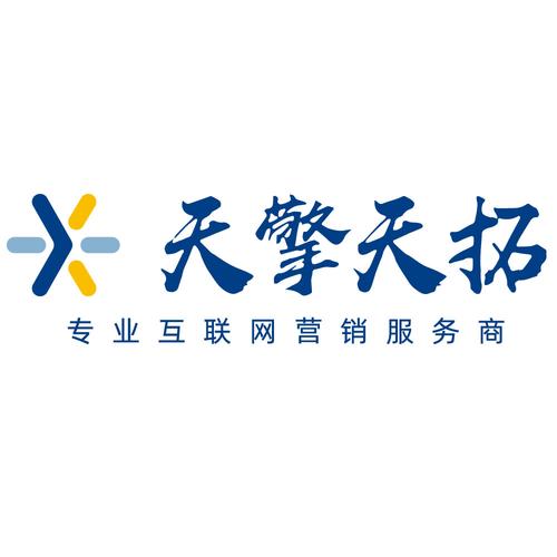 上海天擎信息科技 赋能上海企业网站推广的专业力量